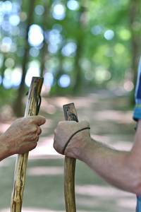 Zwei Personen pilgern durch einen lichtdurchfluteten Wald