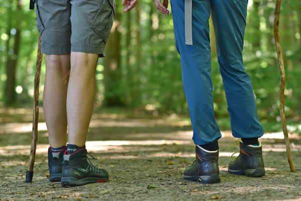 Zwei Personen pilgern durch einen lichtdurchfluteten Wald