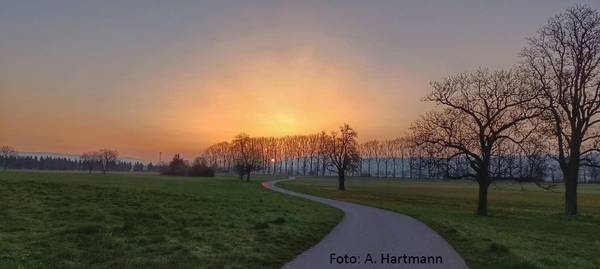 Quelle: A. Hartmann